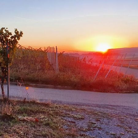 Appartamento Weingut Will Und Wuerz Lemberger Schwaigern Esterno foto