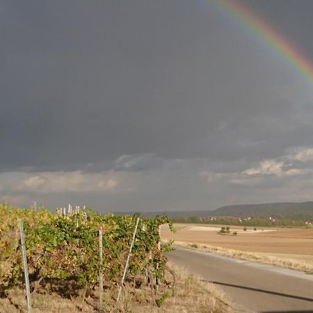 Appartamento Weingut Will Und Wuerz Lemberger Schwaigern Esterno foto