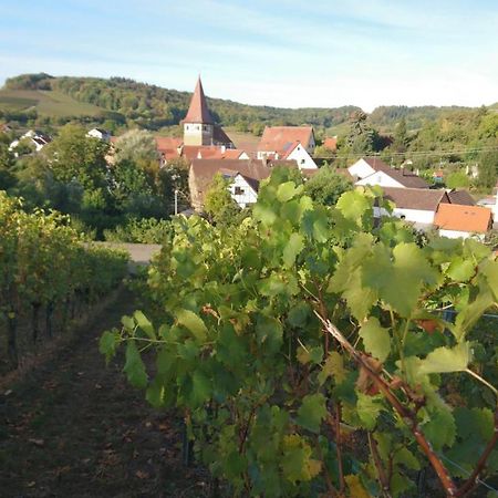 Appartamento Weingut Will Und Wuerz Lemberger Schwaigern Esterno foto