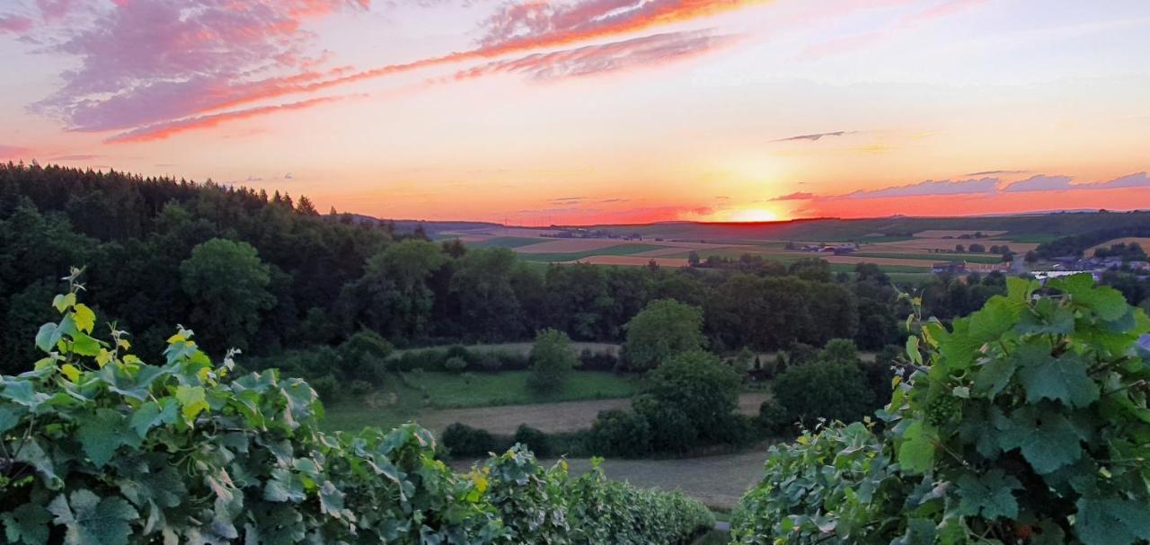 Appartamento Weingut Will Und Wuerz Lemberger Schwaigern Esterno foto