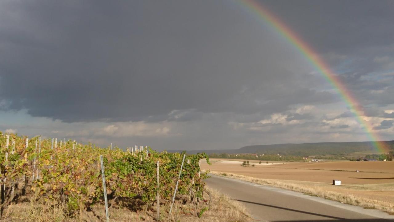 Appartamento Weingut Will Und Wuerz Lemberger Schwaigern Esterno foto
