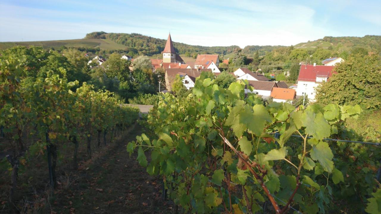 Appartamento Weingut Will Und Wuerz Lemberger Schwaigern Esterno foto